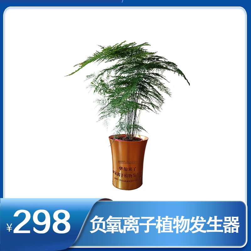 負(fù)氧離子植物發(fā)生器