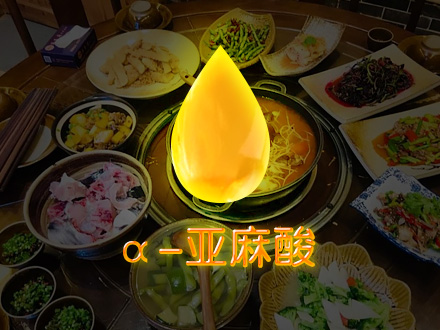 中國人的脂肪酸營養(yǎng)短板——α-亞麻酸