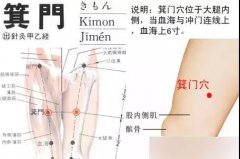 箕門穴：小便不利、遺尿、腹股溝腫痛